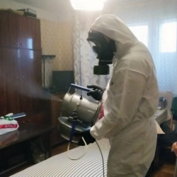 Дезинфекция от клопов в ВАО Москвы