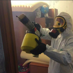 Уничтожение клопов в квартире. ВАО Москвы